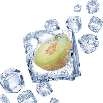 Melon Melon